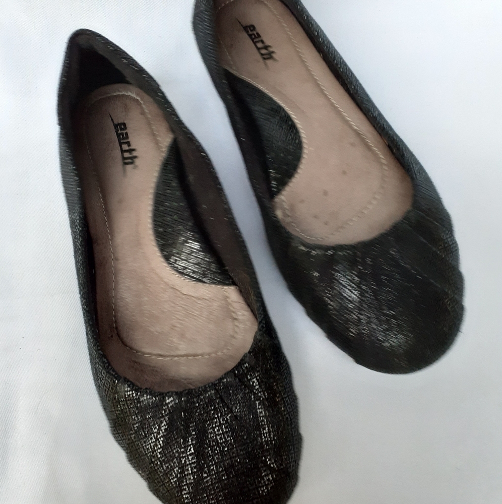 Earth Bellwether flats
